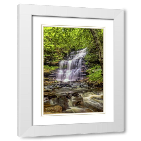 Pennsylvania, Ricketts Glen SP Mohican Falls White Modern Wood Framed Art Print with Double Matting by OBrien, Jay