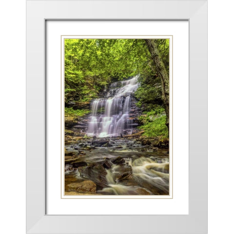 Pennsylvania, Ricketts Glen SP Mohican Falls White Modern Wood Framed Art Print with Double Matting by OBrien, Jay