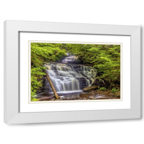 Pennsylvania, Ricketts Glen SP Mohican Falls White Modern Wood Framed Art Print with Double Matting by OBrien, Jay