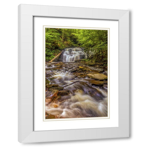Pennsylvania, Ricketts Glen SP Mohican Falls White Modern Wood Framed Art Print with Double Matting by OBrien, Jay
