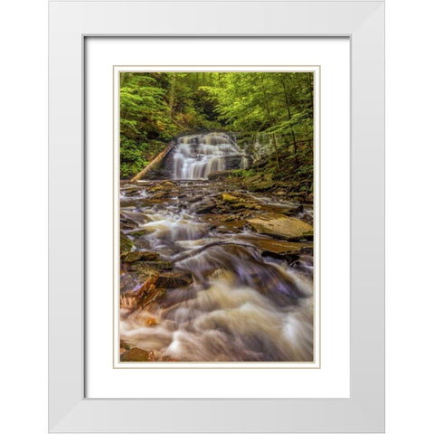 Pennsylvania, Ricketts Glen SP Mohican Falls White Modern Wood Framed Art Print with Double Matting by OBrien, Jay