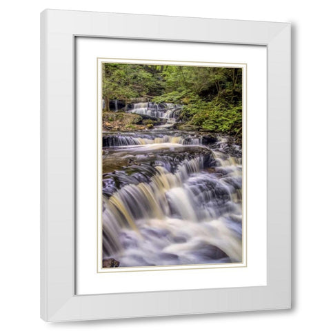 Pennsylvania, Ricketts Glen SP Delaware Falls White Modern Wood Framed Art Print with Double Matting by OBrien, Jay