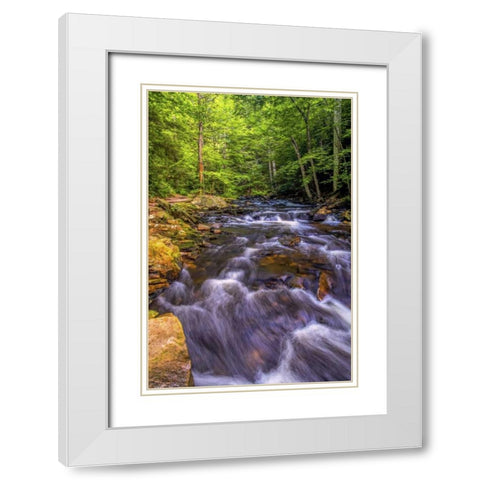 Pennsylvania, Ricketts Glen SP Kitchen Creek White Modern Wood Framed Art Print with Double Matting by OBrien, Jay