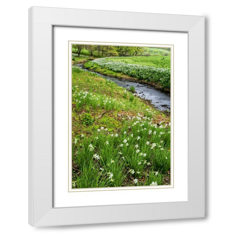 USA, Pennsylvania Spring scenic White Modern Wood Framed Art Print with Double Matting by OBrien, Jay