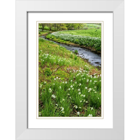 USA, Pennsylvania Spring scenic White Modern Wood Framed Art Print with Double Matting by OBrien, Jay