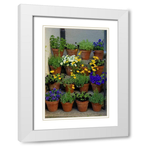 USA, Pennsylvania Potted flowers White Modern Wood Framed Art Print with Double Matting by OBrien, Jay