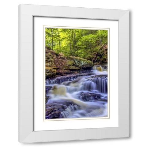 PA, Benton, Ricketts Glen SP Seneca Falls White Modern Wood Framed Art Print with Double Matting by OBrien, Jay