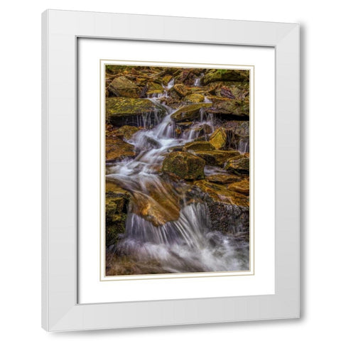 Pennsylvania, Ricketts Glen SP Kitchen Creek White Modern Wood Framed Art Print with Double Matting by OBrien, Jay