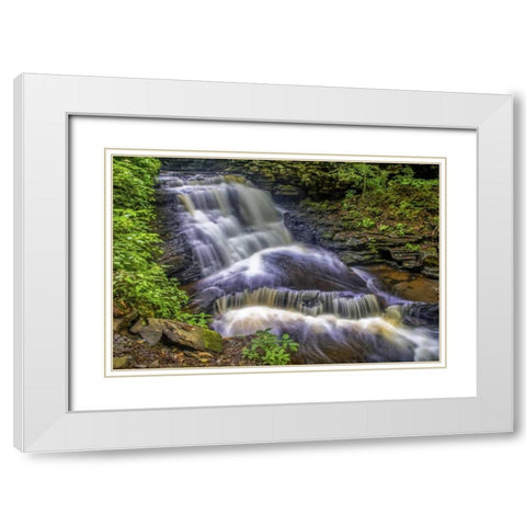 Pennsylvania, Ricketts Glen SP Delaware Falls White Modern Wood Framed Art Print with Double Matting by OBrien, Jay