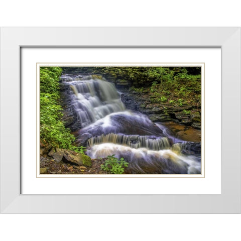 Pennsylvania, Ricketts Glen SP Delaware Falls White Modern Wood Framed Art Print with Double Matting by OBrien, Jay