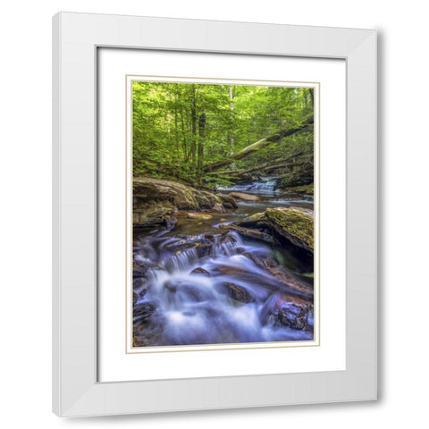 Pennsylvania, Ricketts Glen SP Kitchen Creek White Modern Wood Framed Art Print with Double Matting by OBrien, Jay