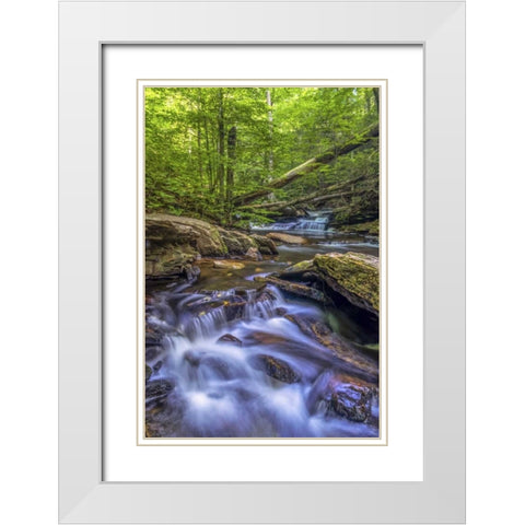 Pennsylvania, Ricketts Glen SP Kitchen Creek White Modern Wood Framed Art Print with Double Matting by OBrien, Jay