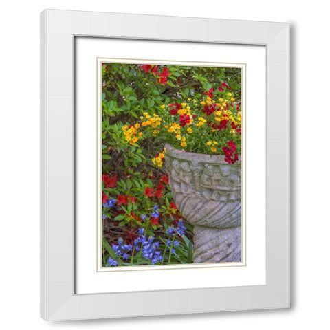 USA, Pennsylvania Flower scenic White Modern Wood Framed Art Print with Double Matting by OBrien, Jay