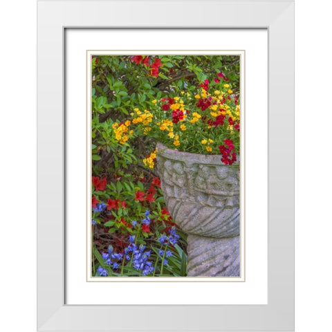 USA, Pennsylvania Flower scenic White Modern Wood Framed Art Print with Double Matting by OBrien, Jay