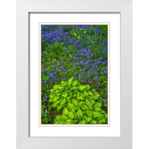 USA, Pennsylvania Spring scenic White Modern Wood Framed Art Print with Double Matting by OBrien, Jay
