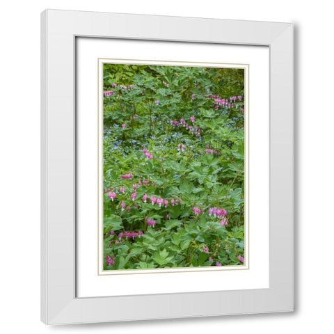 USA, Pennsylvania Spring scenic White Modern Wood Framed Art Print with Double Matting by OBrien, Jay