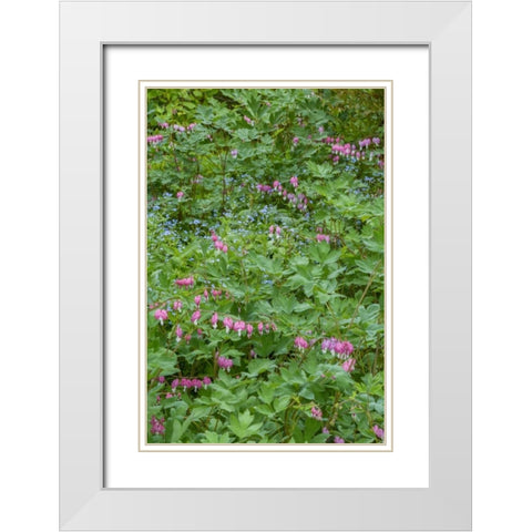 USA, Pennsylvania Spring scenic White Modern Wood Framed Art Print with Double Matting by OBrien, Jay