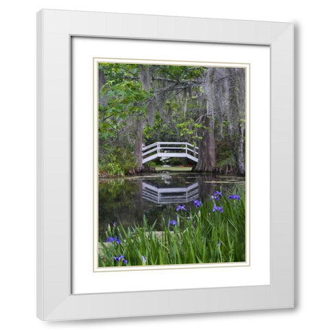 South Carolina, Wood footbridge reflects in pond White Modern Wood Framed Art Print with Double Matting by Rotenberg, Nancy