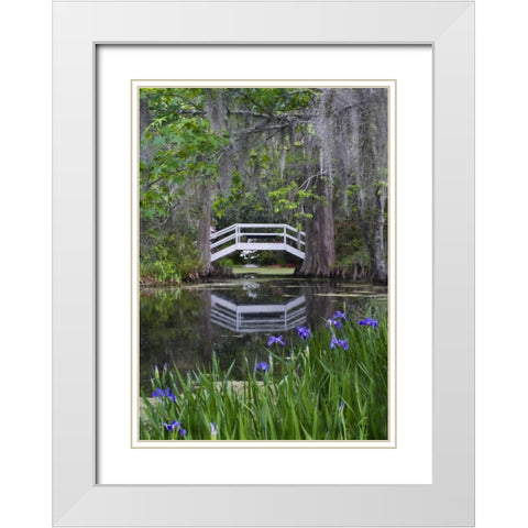 South Carolina, Wood footbridge reflects in pond White Modern Wood Framed Art Print with Double Matting by Rotenberg, Nancy