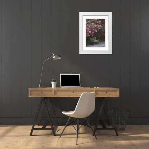 SC, Charleston A weathered bench under azaleas White Modern Wood Framed Art Print with Double Matting by Flaherty, Dennis