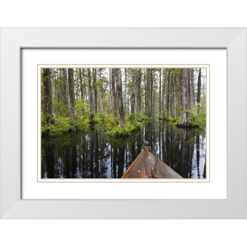 South Carolina Boat bow in cypress swamp White Modern Wood Framed Art Print with Double Matting by Paulson, Don
