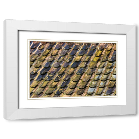 SC, Charleston Roof tiles on Plantation building White Modern Wood Framed Art Print with Double Matting by Paulson, Don