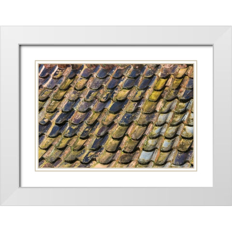 SC, Charleston Roof tiles on Plantation building White Modern Wood Framed Art Print with Double Matting by Paulson, Don