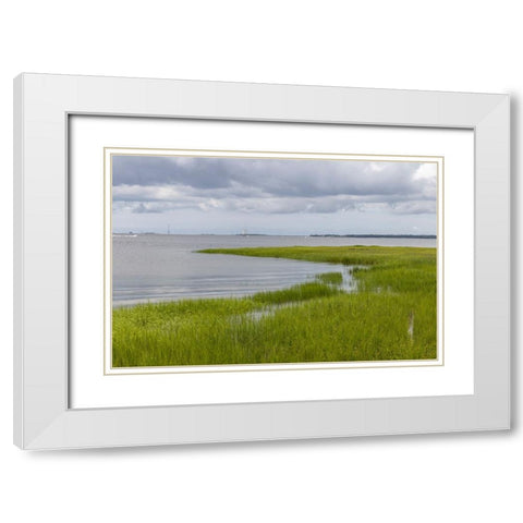 Usa-South Carolina-Charleston White Modern Wood Framed Art Print with Double Matting by Looney, Hollice