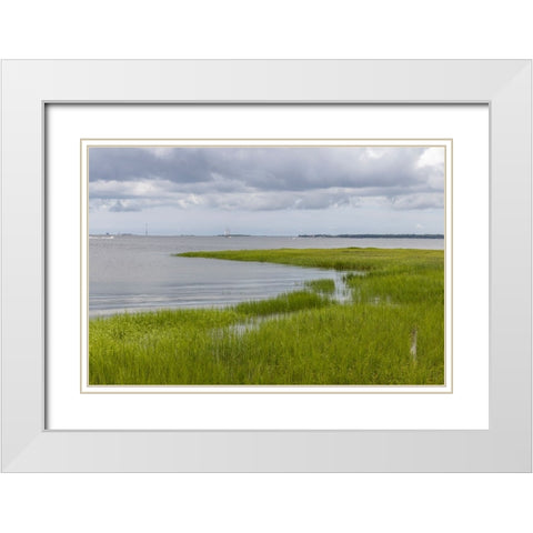 Usa-South Carolina-Charleston White Modern Wood Framed Art Print with Double Matting by Looney, Hollice