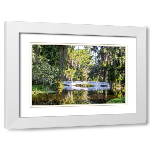 USA- South Carolina- Charleston. Magnolia Plantation White Modern Wood Framed Art Print with Double Matting by Looney, Hollice