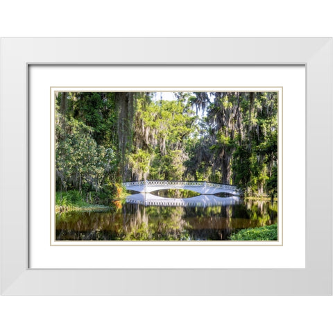 USA- South Carolina- Charleston. Magnolia Plantation White Modern Wood Framed Art Print with Double Matting by Looney, Hollice