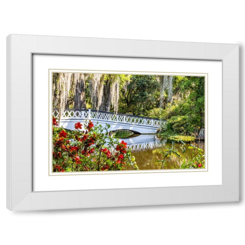 USA- South Carolina- Charleston. Magnolia Plantation White Modern Wood Framed Art Print with Double Matting by Looney, Hollice