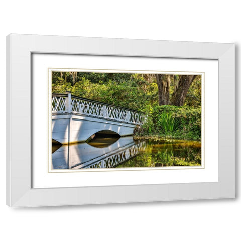 USA- South Carolina- Charleston. Magnolia Plantation White Modern Wood Framed Art Print with Double Matting by Looney, Hollice