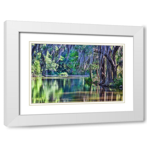 USA- South Carolina- Charleston. Magnolia Plantation White Modern Wood Framed Art Print with Double Matting by Looney, Hollice