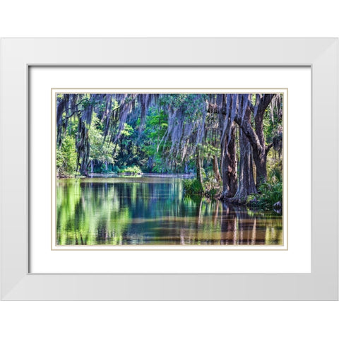 USA- South Carolina- Charleston. Magnolia Plantation White Modern Wood Framed Art Print with Double Matting by Looney, Hollice