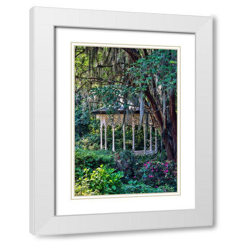 USA- South Carolina- Charleston. Magnolia Plantation White Modern Wood Framed Art Print with Double Matting by Looney, Hollice