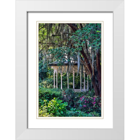 USA- South Carolina- Charleston. Magnolia Plantation White Modern Wood Framed Art Print with Double Matting by Looney, Hollice