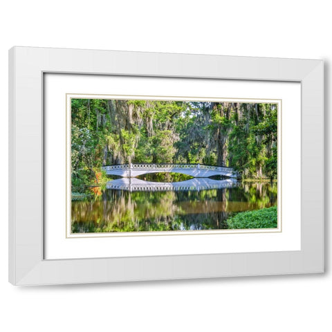 USA- South Carolina- Charleston. Magnolia Plantation White Modern Wood Framed Art Print with Double Matting by Looney, Hollice