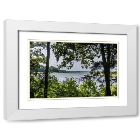 USA- South Carolina- Charleston. Middleton Plantation White Modern Wood Framed Art Print with Double Matting by Looney, Hollice