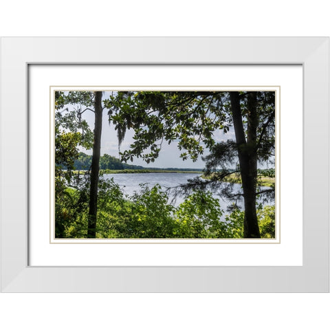 USA- South Carolina- Charleston. Middleton Plantation White Modern Wood Framed Art Print with Double Matting by Looney, Hollice