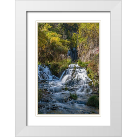 Vertical scenic of Roughlock Falls and autumn foliage-Spearfish Canyon-South Dakota-Black Hills White Modern Wood Framed Art Print with Double Matting by Garber, Howie