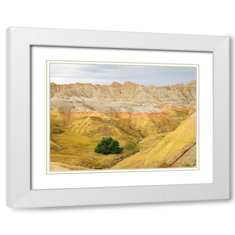 South Dakota- Badlands National Park. Badlands rock formations- Yellow Mounds White Modern Wood Framed Art Print with Double Matting by Wild, Jamie and Judy