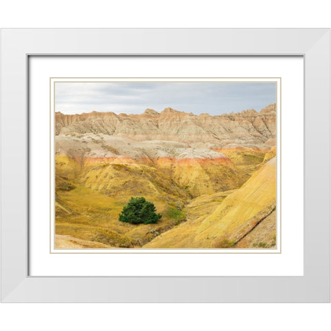 South Dakota- Badlands National Park. Badlands rock formations- Yellow Mounds White Modern Wood Framed Art Print with Double Matting by Wild, Jamie and Judy