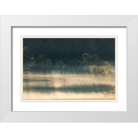 Foggy meadow at sunrise-Cades Cove-Smoky Mountains National Park-Tennessee White Modern Wood Framed Art Print with Double Matting by Jones, Adam