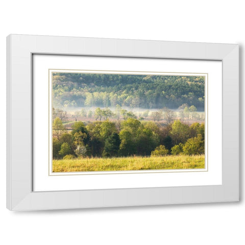 Foggy meadow at sunrise-Cades Cove-Smoky Mountains National Park-Tennessee White Modern Wood Framed Art Print with Double Matting by Jones, Adam