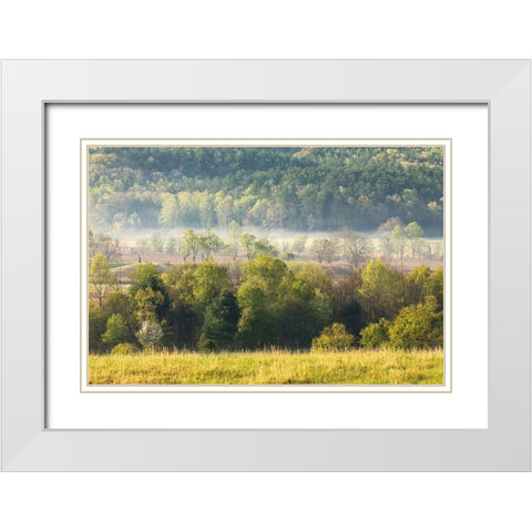 Foggy meadow at sunrise-Cades Cove-Smoky Mountains National Park-Tennessee White Modern Wood Framed Art Print with Double Matting by Jones, Adam
