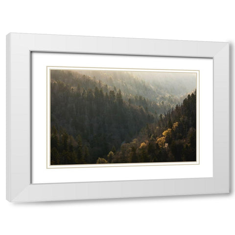 Spring sunset from Morton Overlook-Great Smoky Mountains National Park-Tennessee White Modern Wood Framed Art Print with Double Matting by Jones, Adam