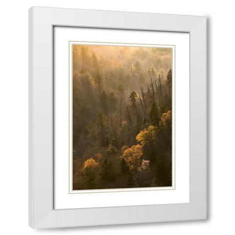 Spring sunset from Morton Overlook-Great Smoky Mountains National Park-Tennessee White Modern Wood Framed Art Print with Double Matting by Jones, Adam