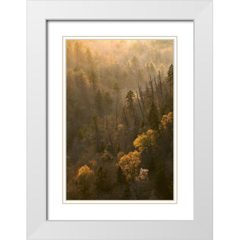 Spring sunset from Morton Overlook-Great Smoky Mountains National Park-Tennessee White Modern Wood Framed Art Print with Double Matting by Jones, Adam