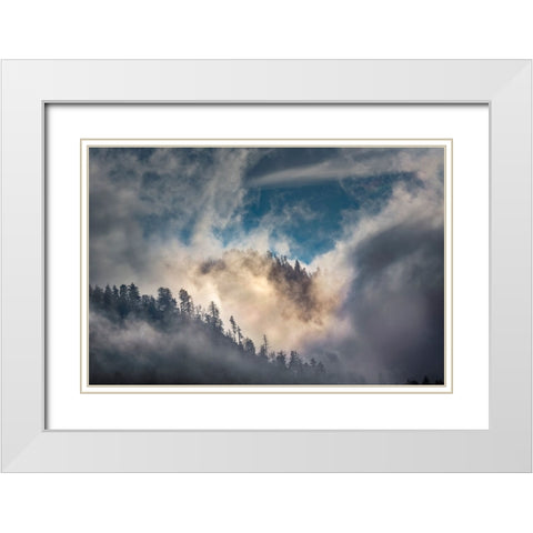 Mist and sunlight in the mountains-Great Smoky Mountain National Park-Tennessee White Modern Wood Framed Art Print with Double Matting by Jones, Adam